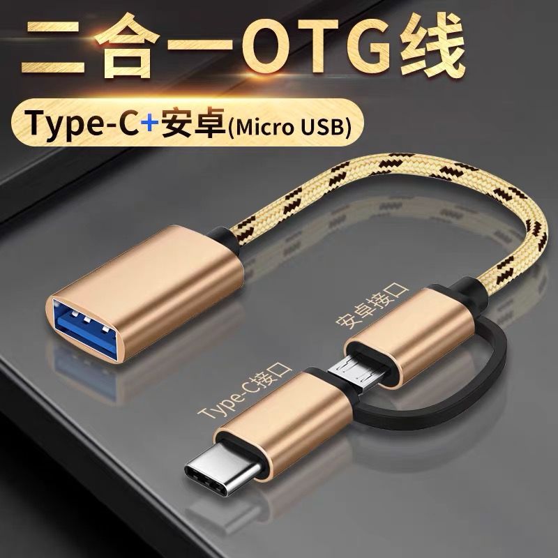 OTG two-in-one adapter