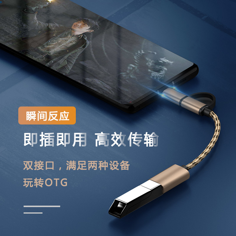 OTG two-in-one adapter