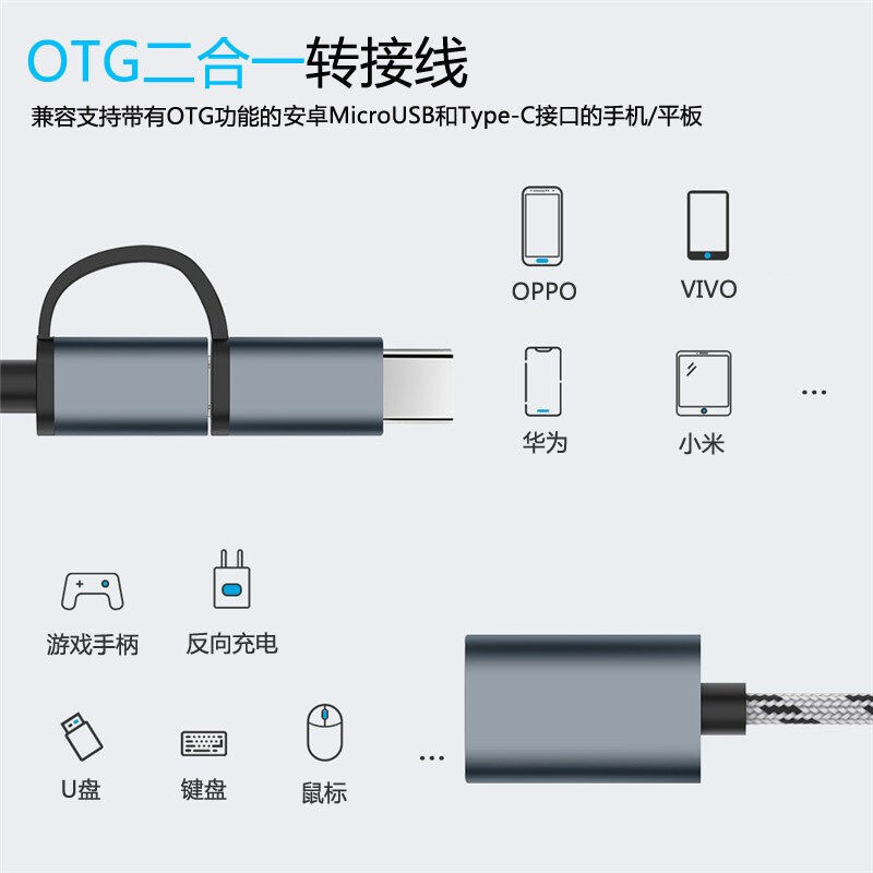 OTG two-in-one adapter