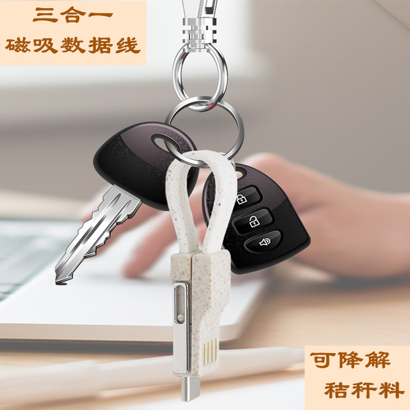Two-in-one wheat straw magnetic key chain data cable